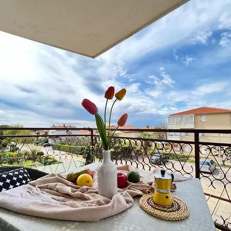 Apartments Valerian Novigrad  Exterior photo
